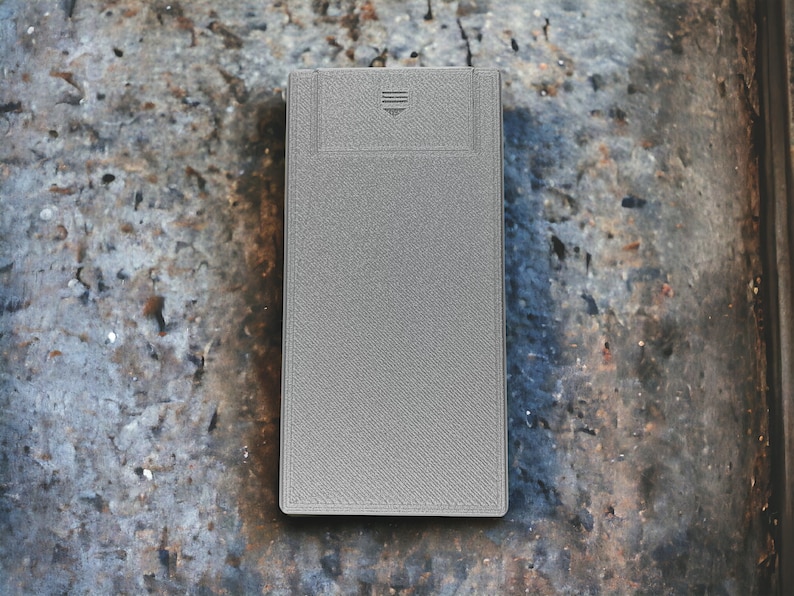 RE2 Portable Safe - Display